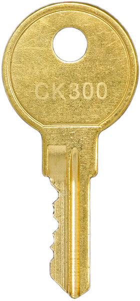 CK300 CONTROL KEY - WESKO