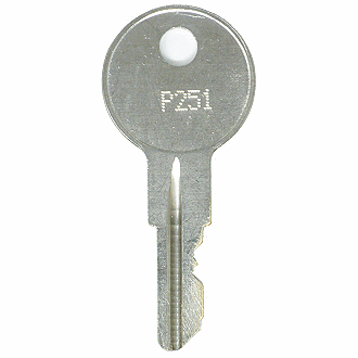 Briggs & Stratton P251 - P450 - P329 Replacement Key