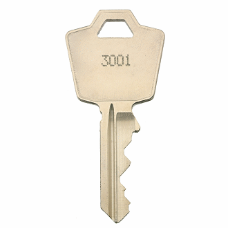 ESP 3001 - 3144 - 3134 Replacement Key