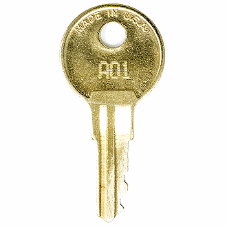 TS Shed A01 - A100 - A91 Replacement Key