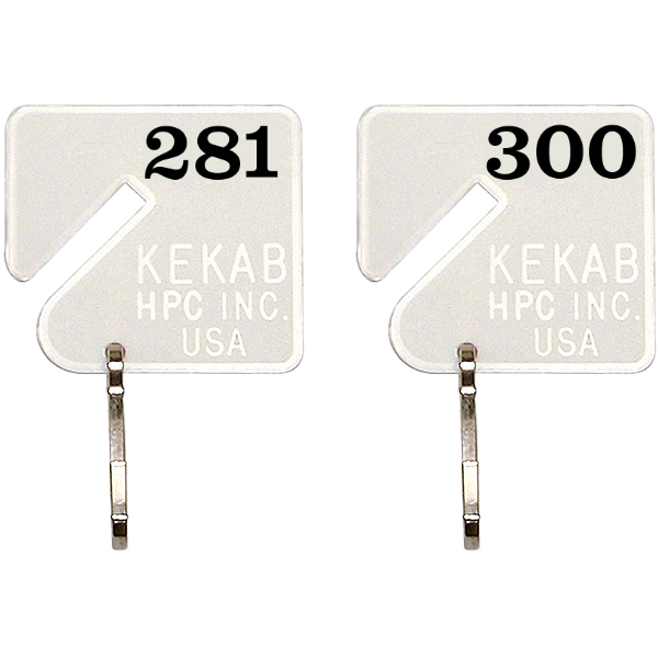 H-NT-281-300 - SLOTTED NUMBERED KEY TAGS - 281 TO 300 - HPC