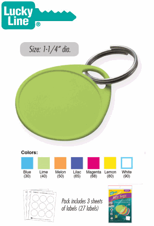 Lucky Line Label-It Key Tags with Labels 250 