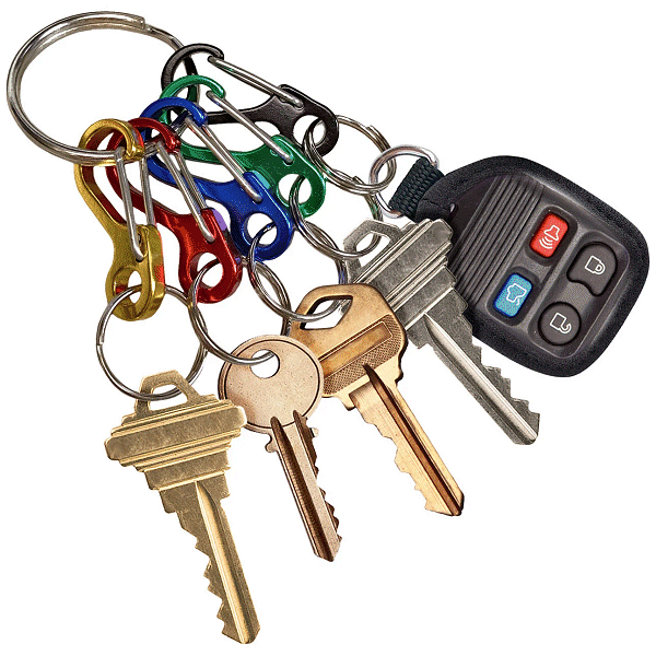 45910 - MINI I.D. CLIPS - 1 KEY RING W/ 5 CLIPS - LUCKY LINE more images