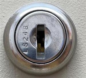 ESP ES248 Lock Face