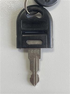 Lusterful 401 Key