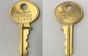 Salsbury HL1 Option Example