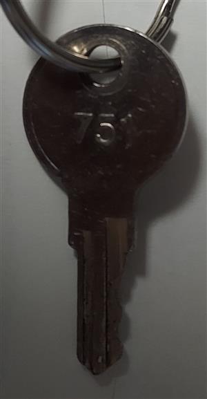 Southco 751 RV Storage Lock Key